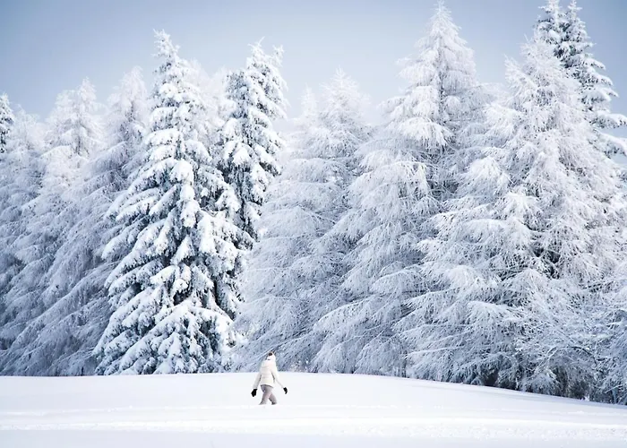 De Marie Διαμέρισμα