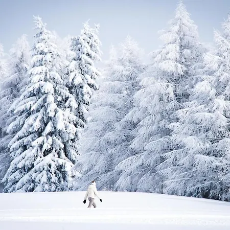 De Marie アパート